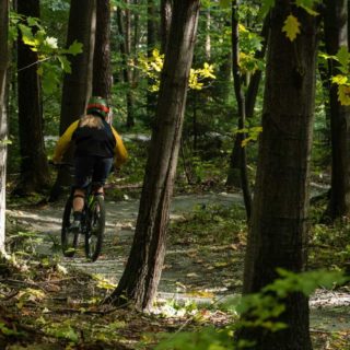Montainbikerin bei einer Waldtour